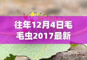 探秘岁月静好之巷,毛毛虫2017最新款时尚秘境