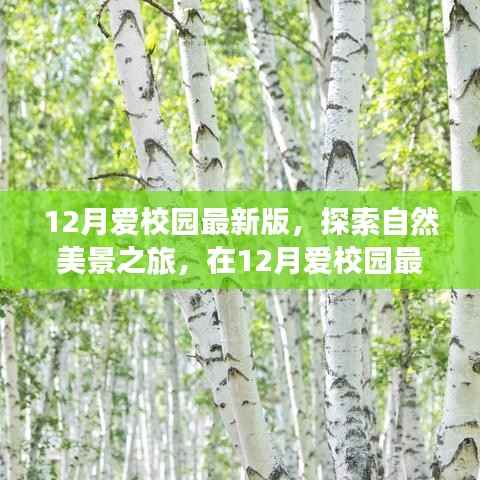 12月爱校园最新版，探索自然美景，寻找内心宁静与平和之旅