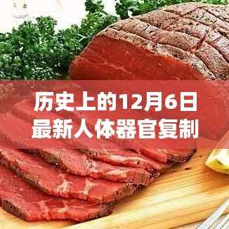 历史上的十二月六日，人体器官复制器的诞生与演进里程碑事件