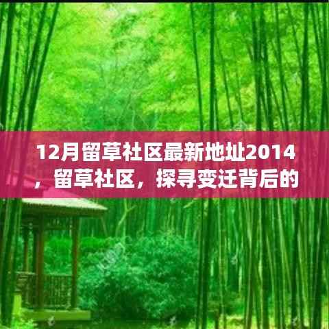 12月留草社区最新地址2014，留草社区，探寻变迁背后的真相与意义