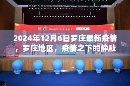 罗庄地区疫情静默与重生,最新背景分析(截至2024年12月6日)
