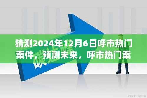 呼市热门案件深度解析与展望，预测未来趋势至2024年12月6日