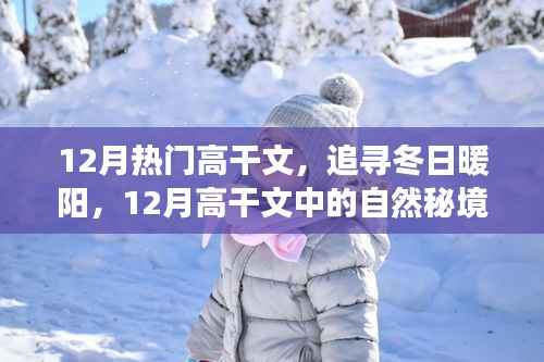 12月高干文中的自然秘境之旅,追寻冬日暖阳的魅力篇章