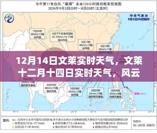 文莱实时天气报告,风云变幻中的独特魅力(十二月十四日)