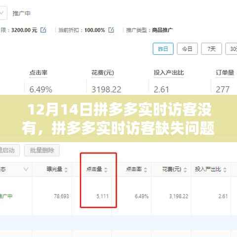拼多多实时访客缺失问题解析与解决指南(适用于初学者及进阶用户,日期,12月14日)