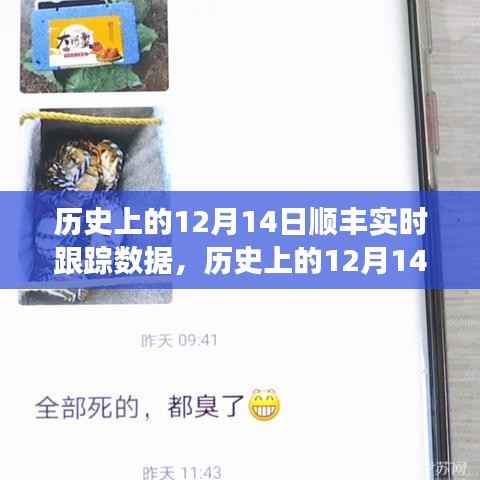 历史上的12月14日顺丰实时跟踪数据演变之旅