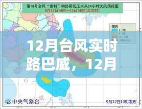 深度解析与案例分析,巴威台风实时路径追踪与影响分析(附案例分析)