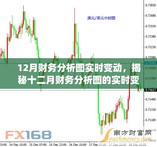 揭秘十二月财务分析图实时变动,洞悉要点,把握先机先机!