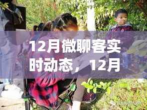 暖阳下的微聊客,12月实时动态与温情日常