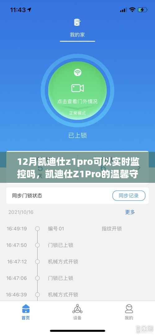 凯迪仕Z1Pro的温馨守护,友情与陪伴的十二月故事中的实时监控之旅