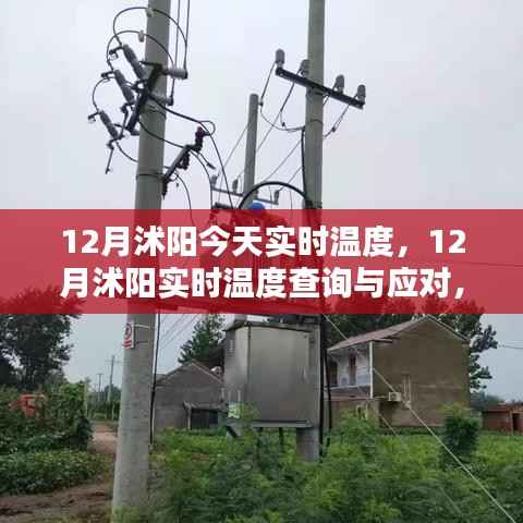12月沭阳实时温度查询与应对指南，今日温度及详细步骤
