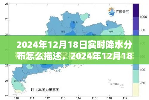 雨幕下的世界,2024年12月18日实时降水分布纪实