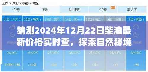 探索自然秘境，启程预测柴油价格之旅，2024年12月22日柴油最新价格实时查询