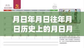 特定日期查询系统的深度解析，历史数据与实时人数的交汇探索