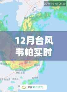 台风韦帕实时动态路径解析，台风季节必备知识