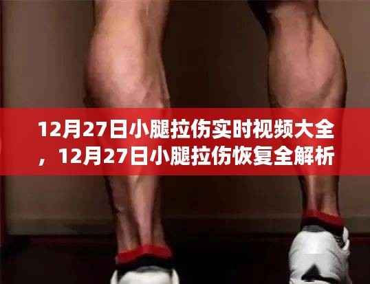 12月27日小腿拉伤恢复指南,实时视频教程助你快速康复与恢复全解析