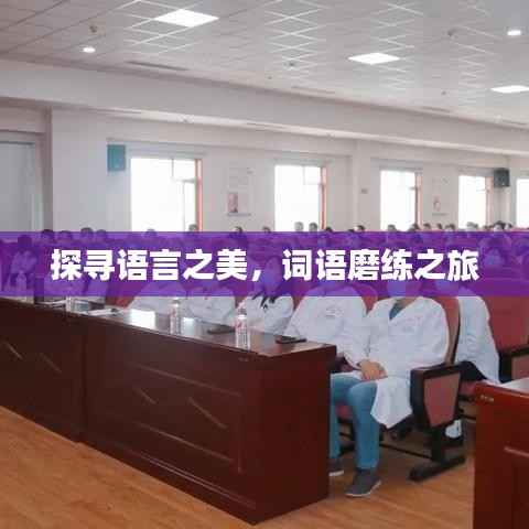 探寻语言之美,词语磨练之旅