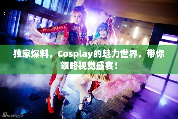 独家爆料,Cosplay的魅力世界,带你领略视觉盛宴!
