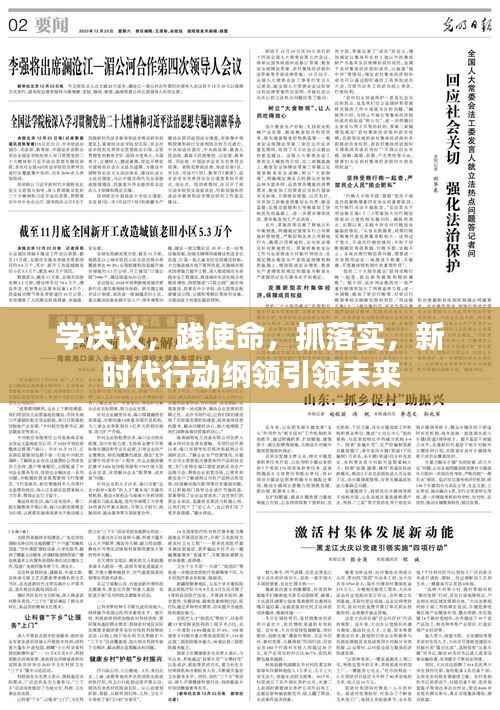 学决议,践使命,抓落实,新时代行动纲领引领未来