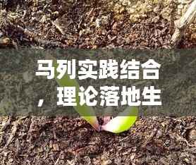 马列实践结合,理论落地生根的秘诀