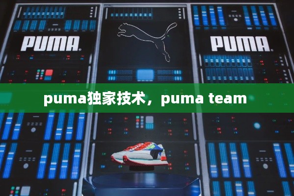 puma独家技术,puma team