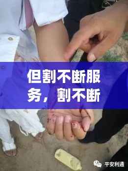 但割不断服务,割不断的意思