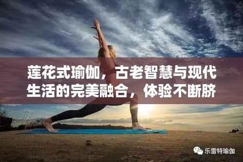 莲花式瑜伽,古老智慧与现代生活的完美融合,体验不断脐的奥秘