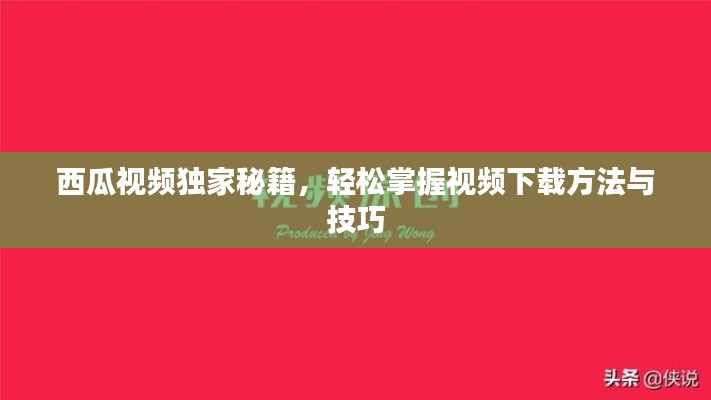 西瓜视频独家秘籍,轻松掌握视频下载方法与技巧