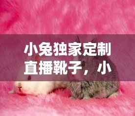 小兔独家定制直播靴子,小兔兔鞋子