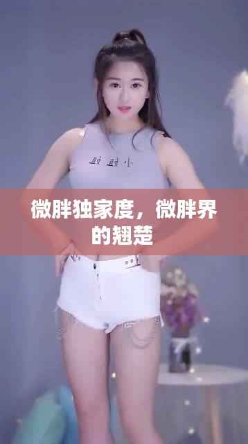 微胖独家度,微胖界的翘楚