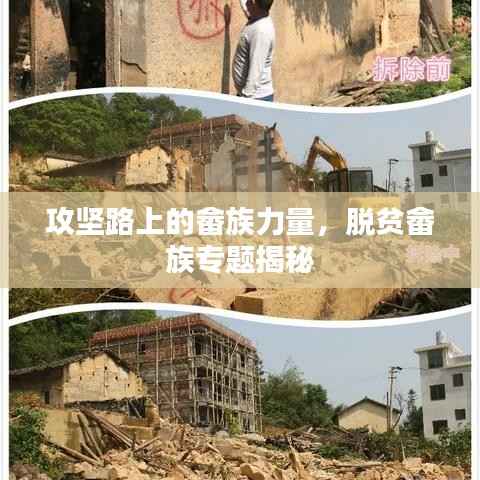 攻坚路上的畲族力量,脱贫畲族专题揭秘