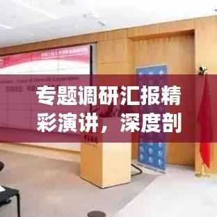 专题调研汇报精彩演讲,深度剖析、独到见解!