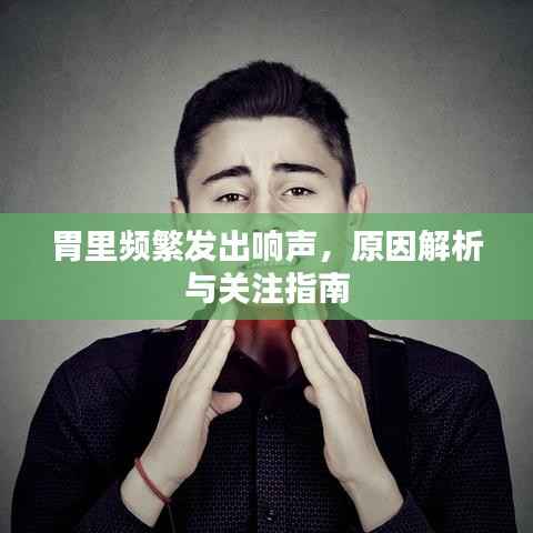 胃里频繁发出响声,原因解析与关注指南