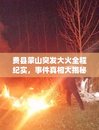 费县蒙山突发大火全程纪实,事件真相大揭秘