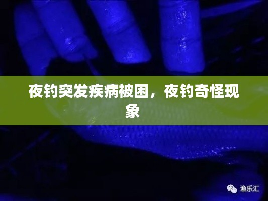 夜钓突发疾病被困,夜钓奇怪现象