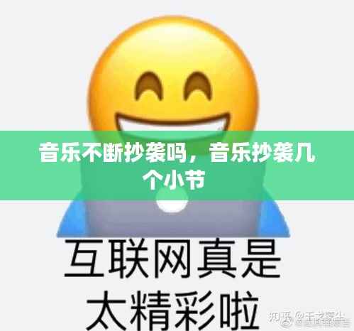 音乐不断抄袭吗,音乐抄袭几个小节
