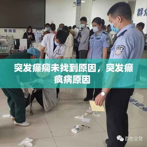 突发癫痫未找到原因,突发癫疯病原因