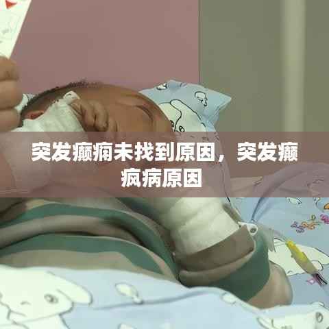 突发癫痫未找到原因,突发癫疯病原因