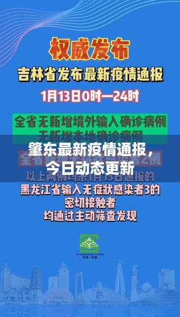 肇东最新疫情通报，今日动态更新