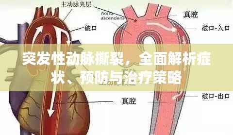 突发性动脉撕裂,全面解析症状、预防与治疗策略
