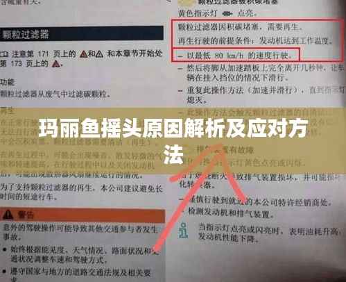 玛丽鱼摇头原因解析及应对方法