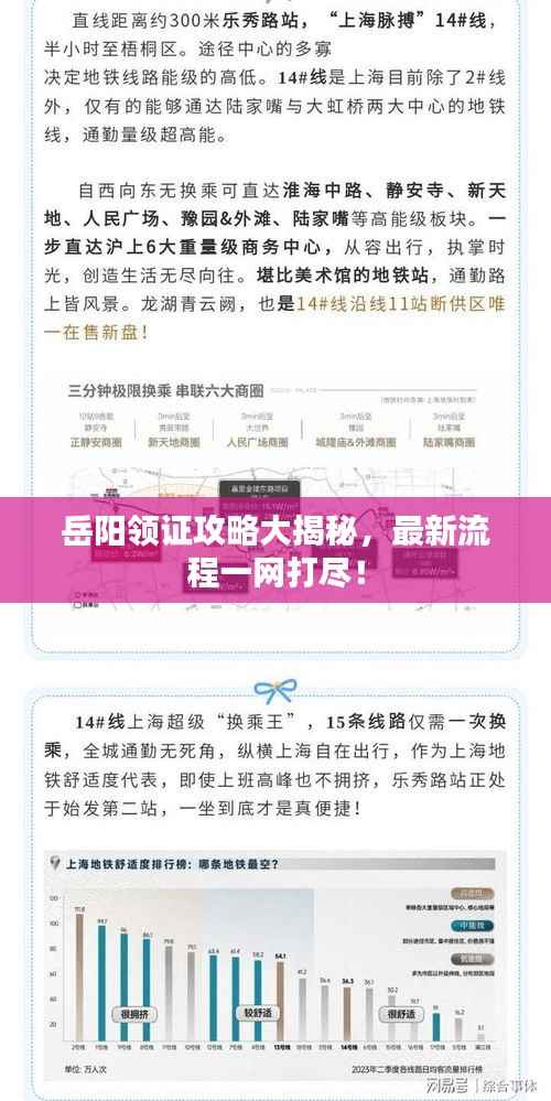 岳阳领证攻略大揭秘,最新流程一网打尽!