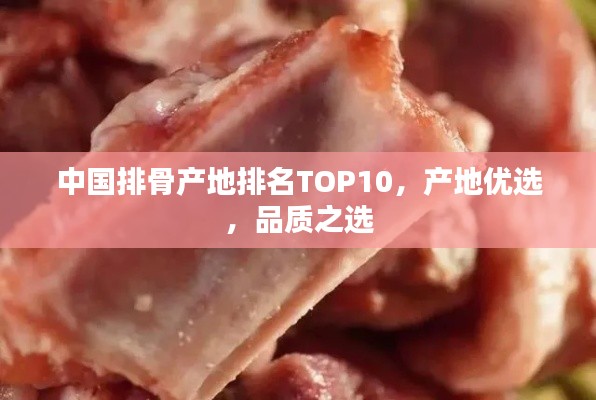 中国排骨产地排名TOP10,产地优选,品质之选
