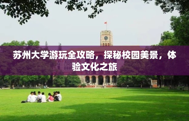 苏州大学游玩全攻略,探秘校园美景,体验文化之旅