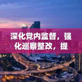 深化党内监督,强化巡察整改,提升治理效能