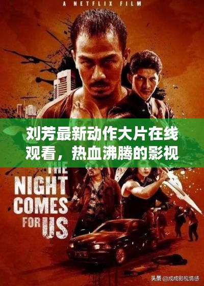 刘芳最新动作大片在线观看,热血沸腾的影视盛宴