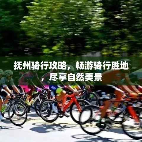 关于我们 第188页