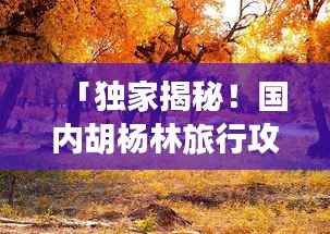 「独家揭秘!国内胡杨林旅行攻略,带你领略大漠风情!」