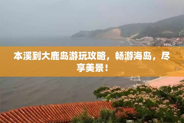 本溪到大鹿岛游玩攻略,畅游海岛,尽享美景!
