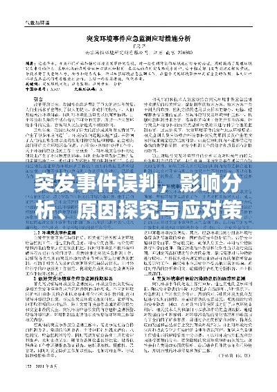 突发事件误判，影响分析、原因探究与应对策略探讨